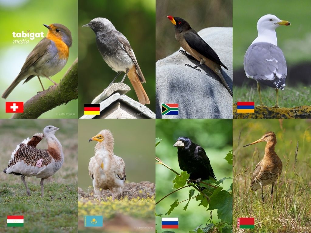 Марк Дорселдің онлайн эротикалық фильмдері порно емес.